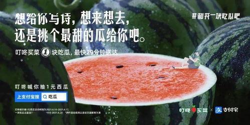 文案吃瓜的季节,吃瓜群众狂欢季！  第1张