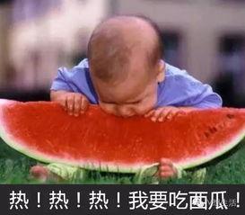 吃瓜大赛摸脖子,吃瓜大赛中的清凉一“摸”——揭秘摸脖子背后的趣味与智慧  第1张