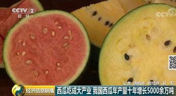 吃瓜群众之西瓜,甜蜜诱惑与清凉夏日  第2张