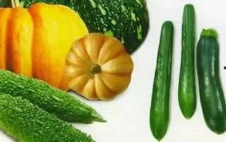 摘杏吃瓜视频大全,视频大全带你领略田园风光  第2张