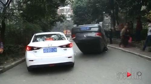 墨尔本车吃瓜,一场意外引发的全民热议  第3张